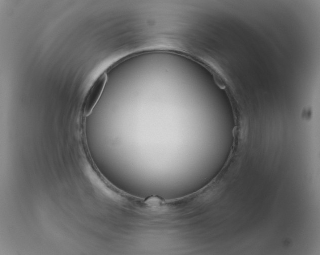 X0000112521468200908171100
