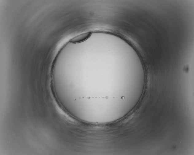 X0000112521471200908171100