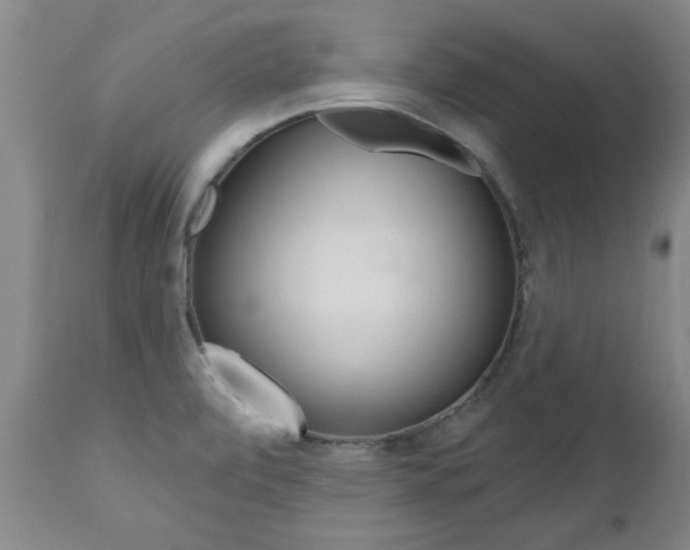 X0000112521472200908171100