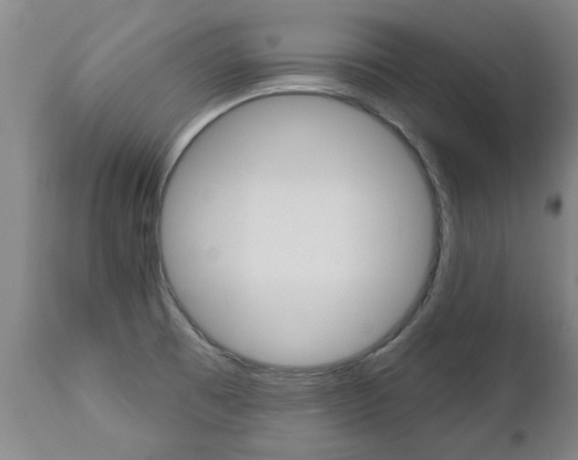 X0000112521473200908171100