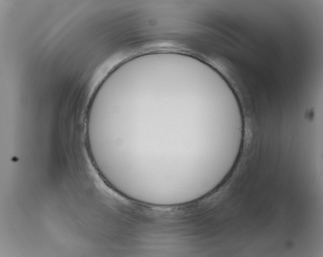 X0000112521474200908171100