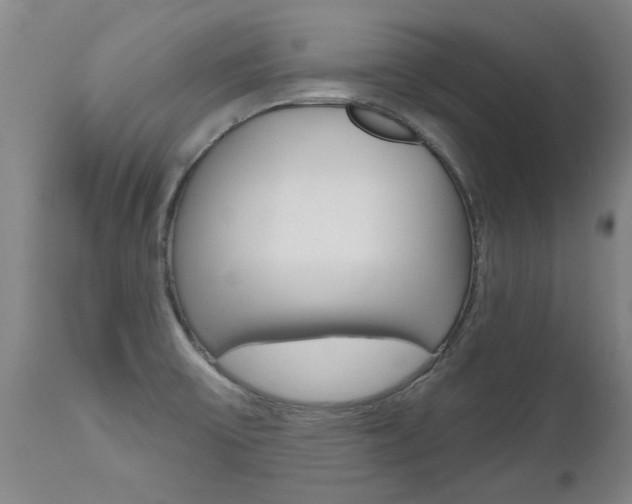 X0000112521475200908171100
