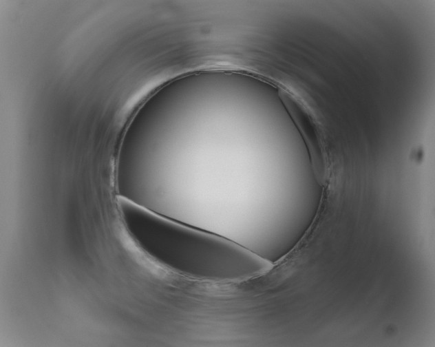 X0000112521476200908171100