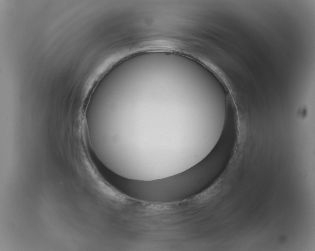 X0000112521477200908171100