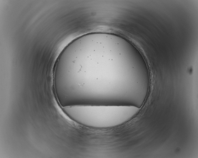 X0000112521479200908171100