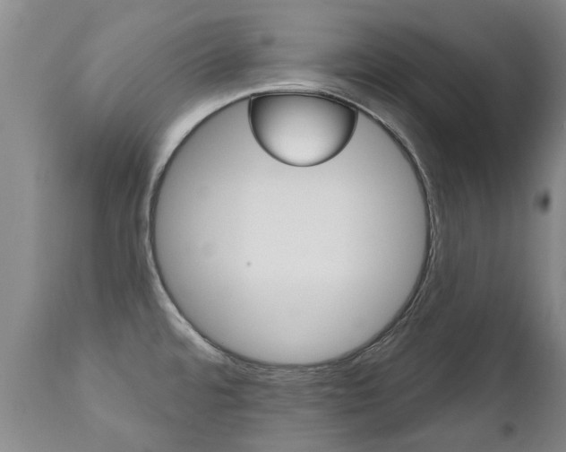 X0000112521480200908171100
