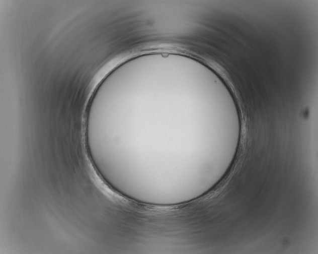 X0000112521482200908171100
