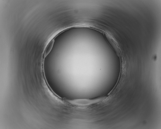 X0000112521484200908171100