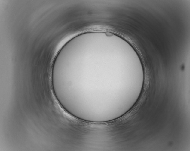 X0000112521486200908171100