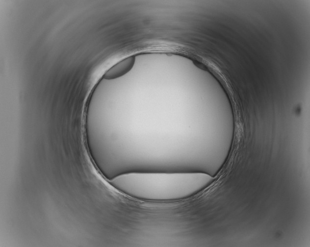 X0000112521487200908171100