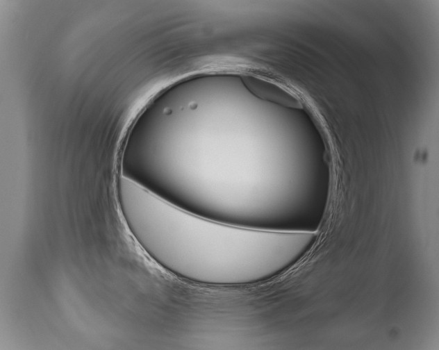 X0000112521488200908171100