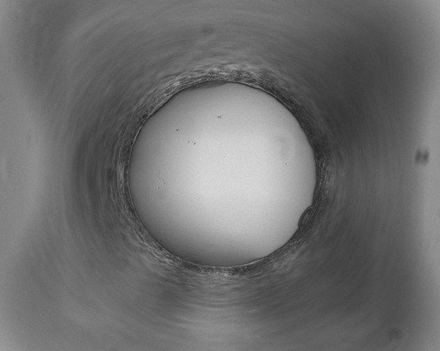 X0000112521489200908171059