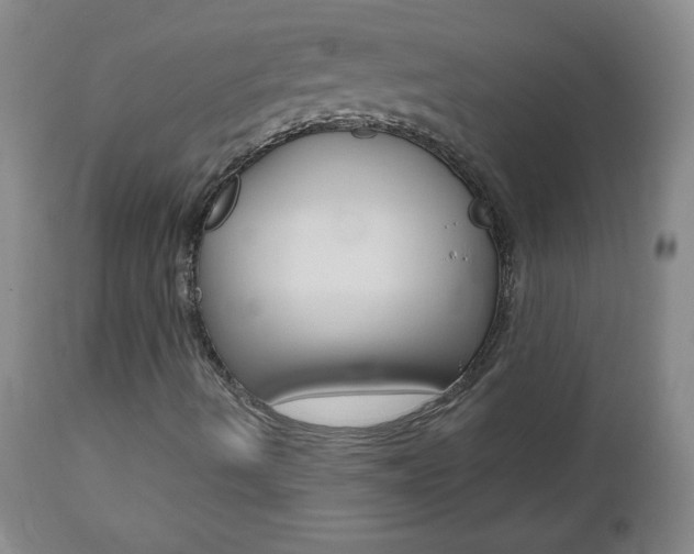 X0000112521490200908171059