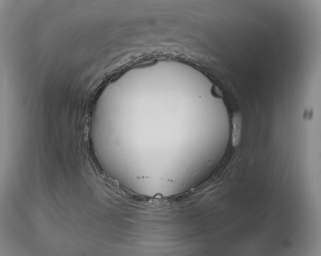 X0000112521491200908171059