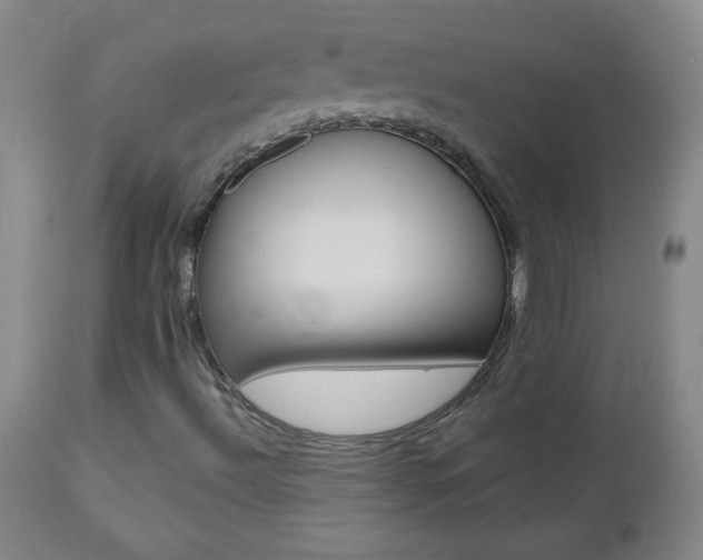 X0000112521492200908171059