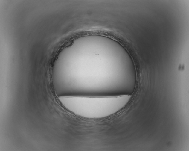 X0000112521493200908171059