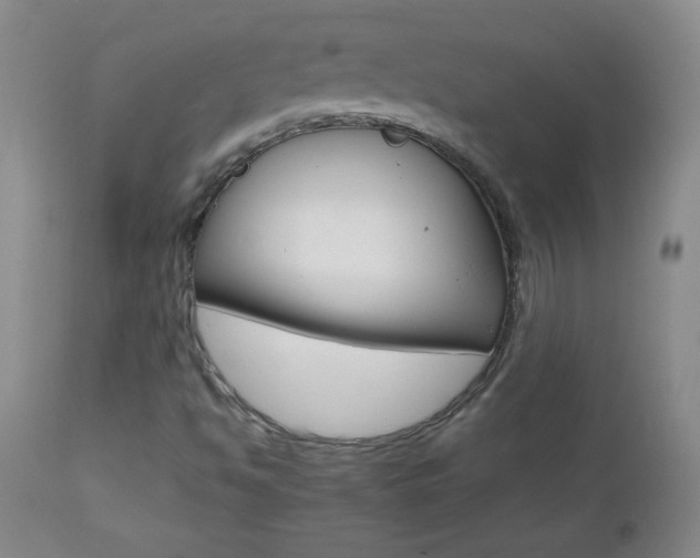 X0000112521494200908171059