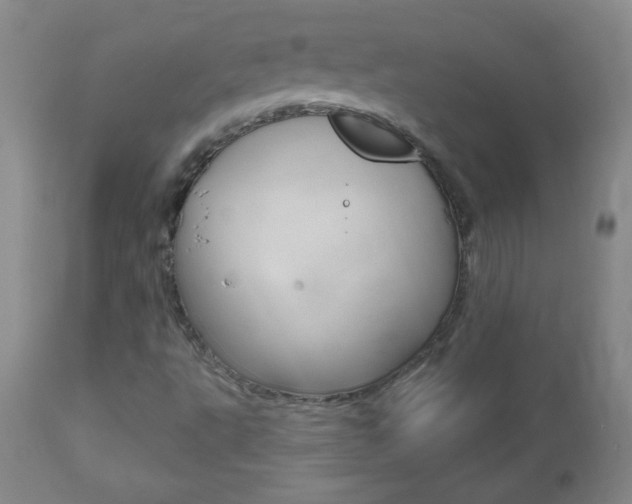 X0000112521495200908171059