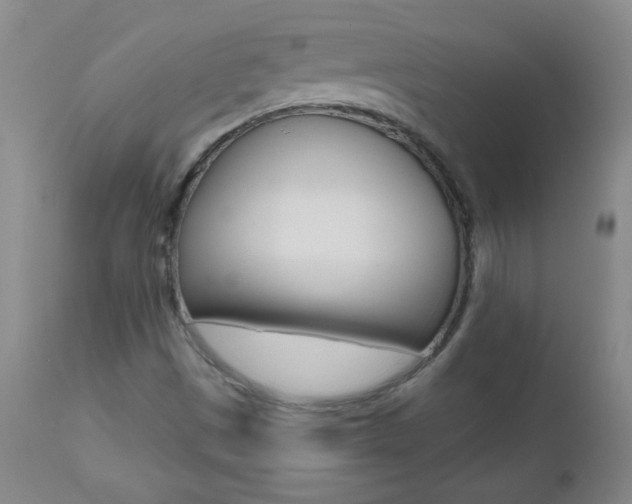X0000112521497200908171059