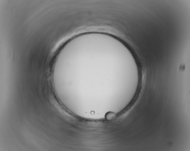 X0000112521498200908171059