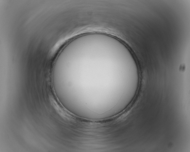 X0000112521499200908171059
