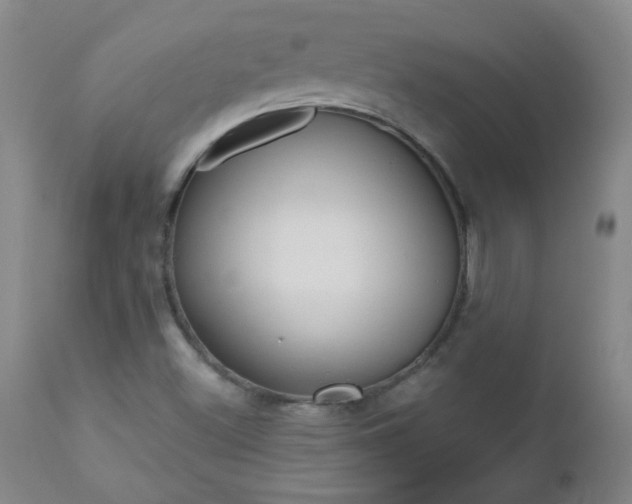 X0000112521500200908171059