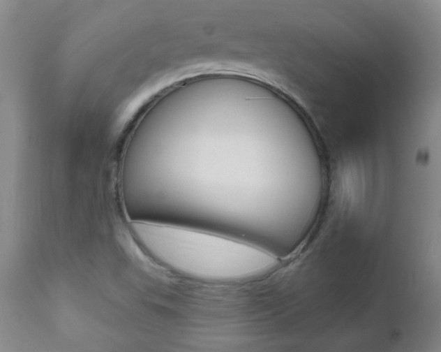 X0000112521503200908171059