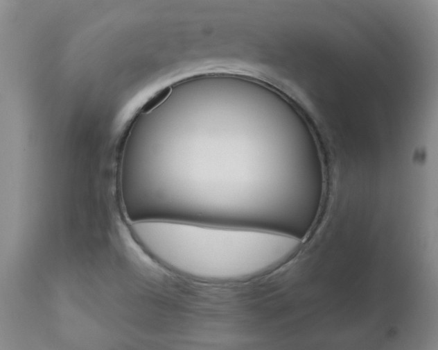 X0000112521504200908171059