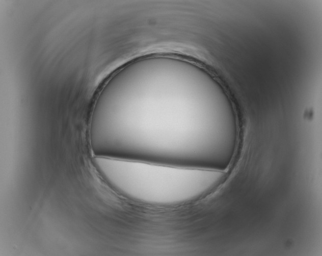 X0000112521505200908171059