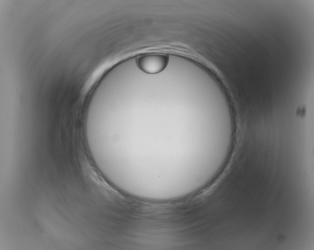 X0000112521506200908171059