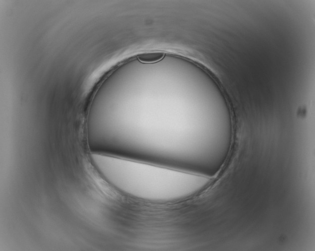 X0000112521507200908171059