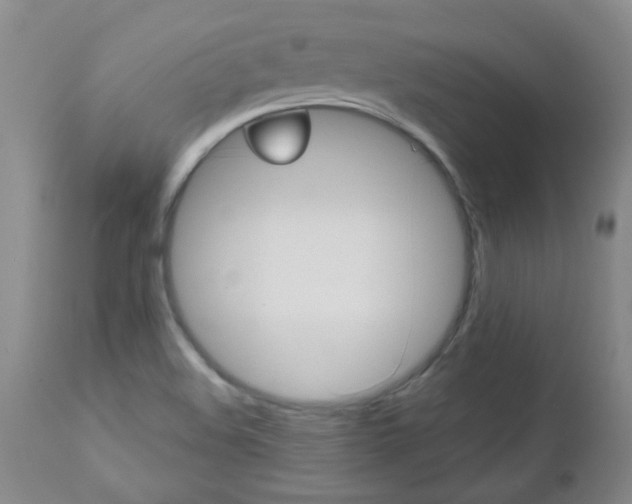 X0000112521508200908171059