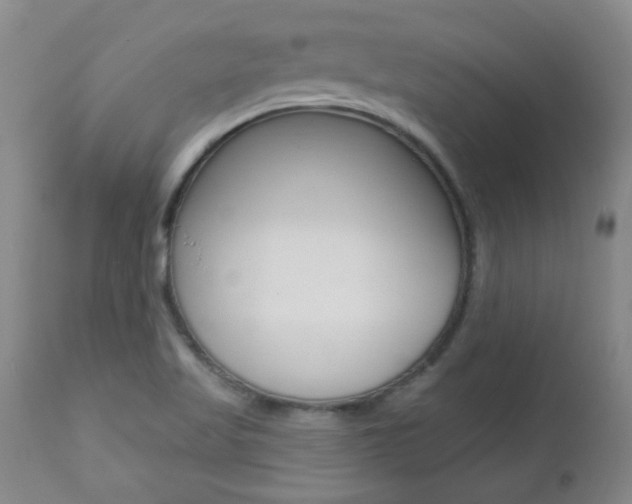 X0000112521509200908171059