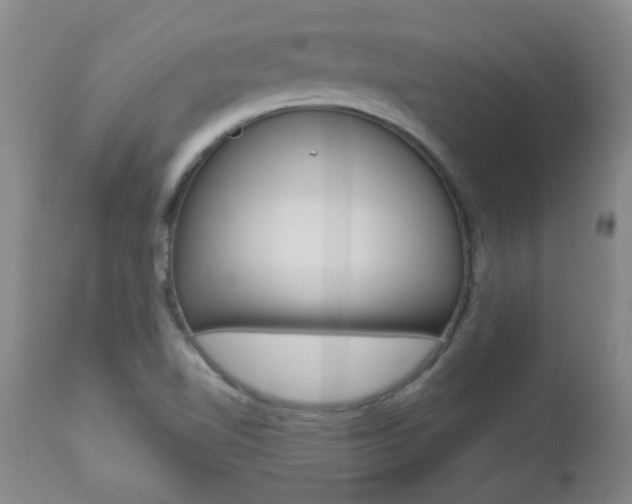 X0000112521510200908171059