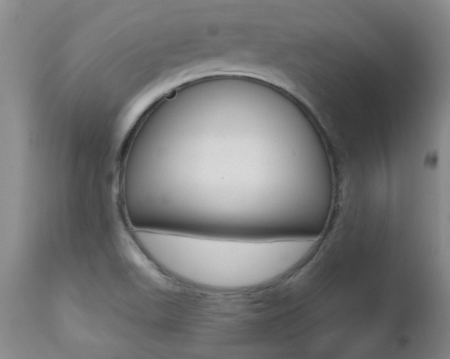 X0000112521511200908171059