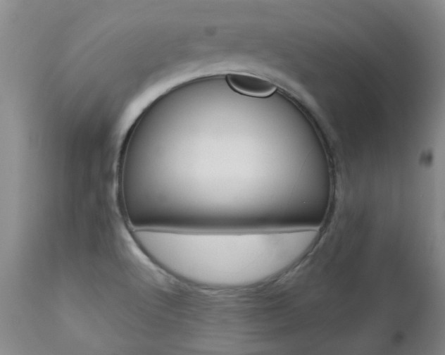 X0000112521512200908171100