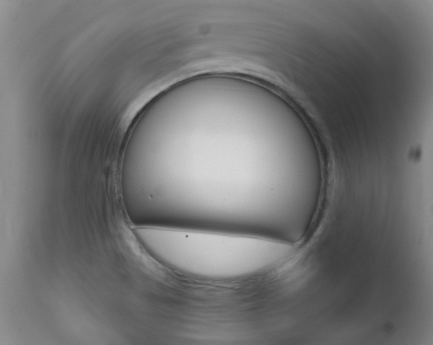 X0000112521513200908171100
