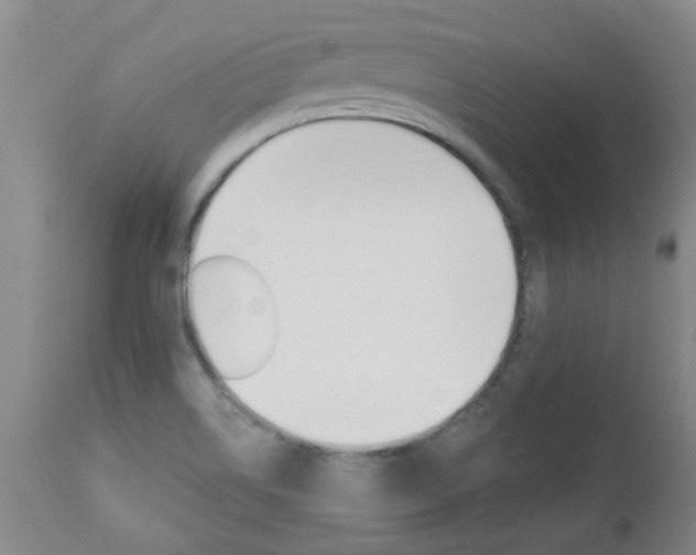 X0000112521514200908171100