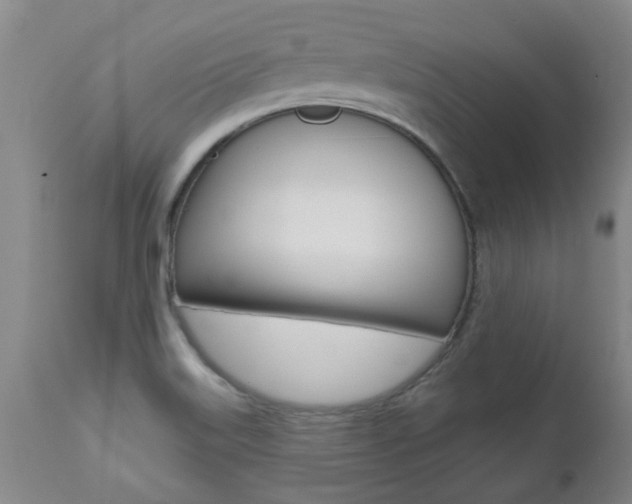 X0000112521515200908171100