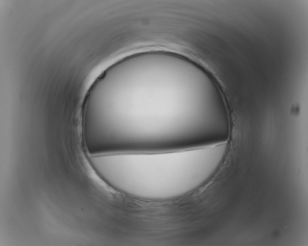 X0000112521516200908171100