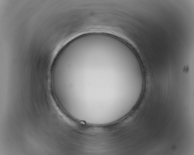 X0000112521517200908171100