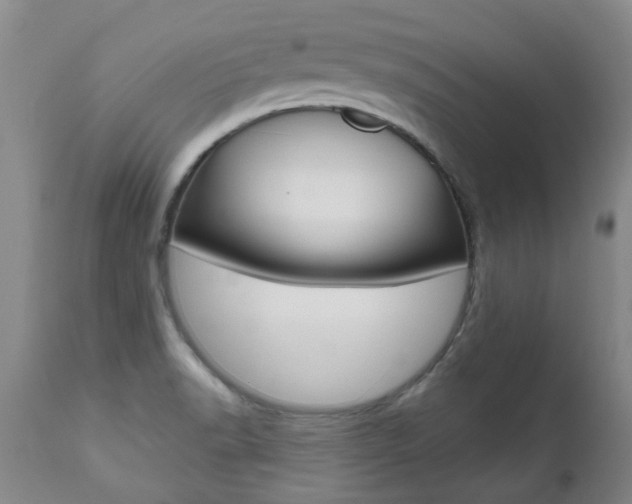 X0000112521518200908171100