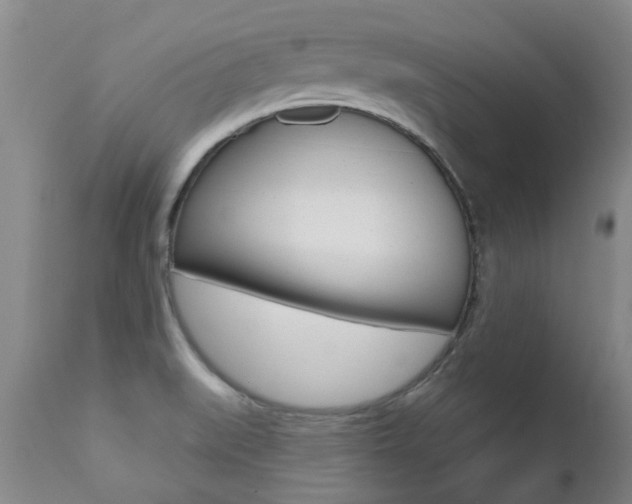 X0000112521519200908171100
