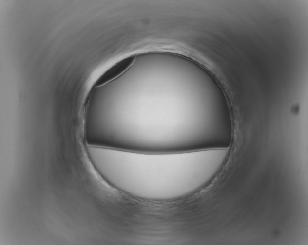 X0000112521520200908171100