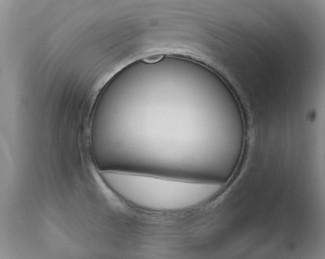 X0000112521521200908171100