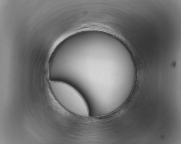 X0000112521522200908171100