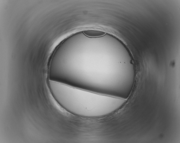 X0000112521523200908171100