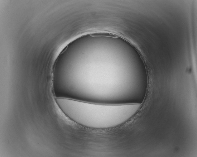 X0000112521524200908171100