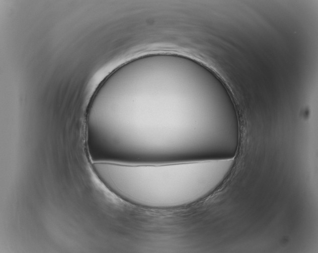 X0000112521527200908171100