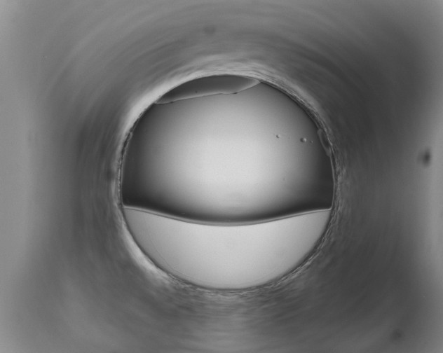 X0000112521528200908171100